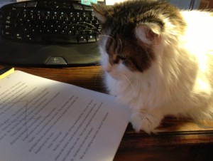 Back to work. Bentley is a tough editor.